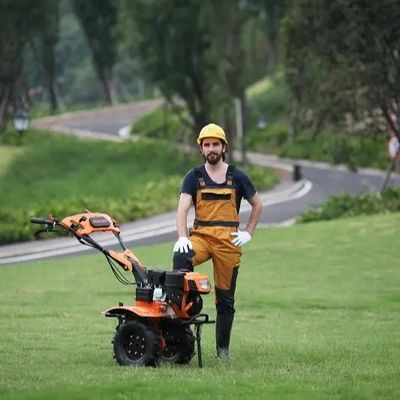 Piccola benzina Mini Power Weeder dei trattori agricoli di multi scopo