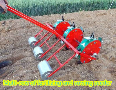 Scalpello dell'azienda agricola che coltiva distanza regolabile del seme dell'attrezzatura degli strumenti per le colline
