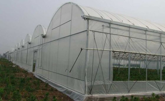 La serra Muitl del film del PE del politene misura la forte applicabilità 200 micron