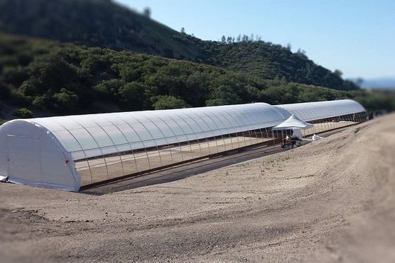 La serra Muitl del film del PE del politene misura la forte applicabilità 200 micron
