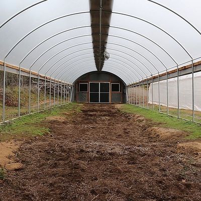 Serra d'acciaio galvanizzata del tunnel della serra 3.2m del film del PE della struttura alta