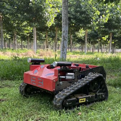 Passeggiata agricola di TUV della falciatrice da giardino del dispositivo di rimozione dell'erbaccia dietro il falciatore 550mm