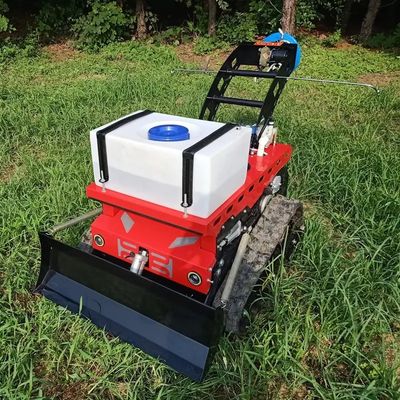 Passeggiata agricola di TUV della falciatrice da giardino del dispositivo di rimozione dell'erbaccia dietro il falciatore 550mm